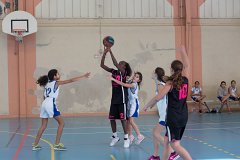 5D3_3515