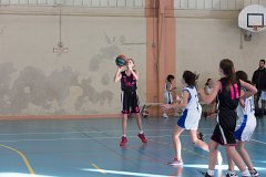 5D3_3526